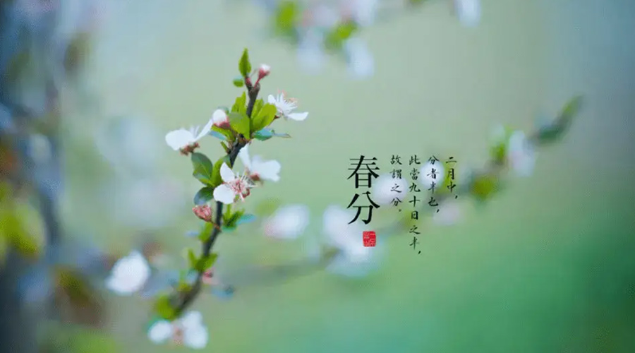春分雨水多易生菌！金環(huán)電器提醒你衣物要注意處理